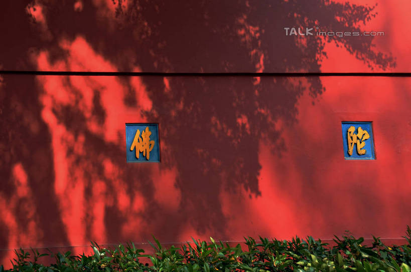 无人,寺庙,横图,室外,白天,正面,旅游,度假,名胜古迹,秋季,植物,标志建筑,地标,建筑,南京,中国,亚洲,阴影,节日,遗迹,光线,标志,文字,影子,字符,墙,燃烧,古迹,文化,文物,娱乐,标识,建设,古建筑,江苏,墙壁,墙面,树,树木,两个,黄色,红色,蓝色,绿色,阳光,自然,香火,庙宇,祈祷,享受,休闲,健康,汉字,旅游胜地,放松,许愿,宗教,信仰,生长,成长,纪念,祈求,中文,古文明,东亚,江苏省,南京市,中华人民共和国,华东地区,苏,省会,国文,华文,栖霞寺,栖霞山,平安,石头城,秋,秋天,彩图,庙,寺,yzdzj1