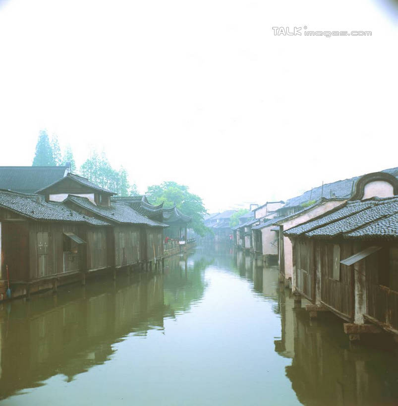 无人,家,竖图,室外,白天,正面,旅游,度假,河流,美景,水,植物,中国,亚洲,许多,阴影,光线,影子,房屋,屋子,河水,景观,水流,娱乐,浙江,民居,住宅,树,树木,浙江省,蓝色,绿色,倒影,蓝天,天空,阳光,自然,天,享受,休闲,景色,放松,水乡,生长,成长,自然风光,东亚,乌镇,中华人民共和国,华东地区,浙,嘉兴,嘉兴市,桐乡市,彩图,房子,yzdzj1