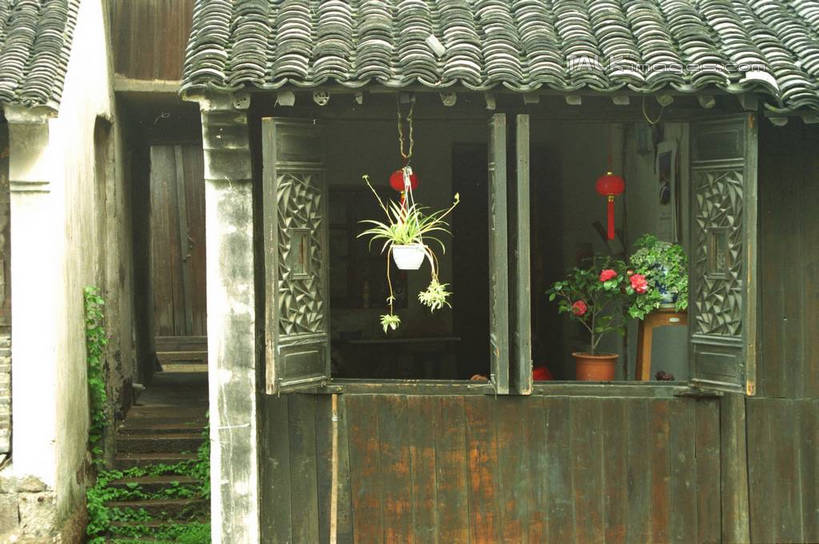 无人,家,横图,室外,白天,正面,旅游,度假,美景,植物,窗户,花盆,中国,亚洲,许多,阴影,盛开,光线,盆栽,影子,房屋,墙,屋子,景观,盆景,花蕾,娱乐,浙江,民居,墙壁,墙面,住宅,吊兰,花,花瓣,花朵,鲜花,浙江省,蓝色,绿色,蓝天,天空,阳光,自然,天,花苞,花蕊,享受,休闲,景色,放松,水乡,生长,成长,自然风光,东亚,乌镇,中华人民共和国,华东地区,浙,嘉兴,嘉兴市,桐乡市,月季,彩图,房子,yzdzj1