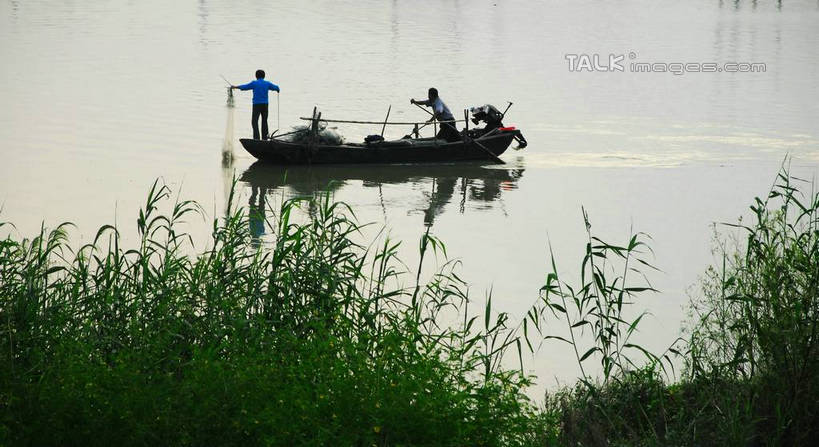 东方人,两个人,夫妻,站,横图,室外,白天,爱情,渔业,草地,草坪,湖,湖泊,水,植物,船,芦苇,亚洲,一艘,握,湖面,水流,水面,木船,渔船,浪漫,拿,拿着,黄种人,草,渔民,背面,绿色,交通工具,湖水,站着,恩爱,握着,恋人,水乡,渔网,渔具,舟,停泊,抓捕,捕捞,鱼网,拉网,捕捞工具,男人,男性,女人,女性,中年男性,中年女性,亚洲人,情侣,站立,彩图,全身,伴侣,yzdzj1