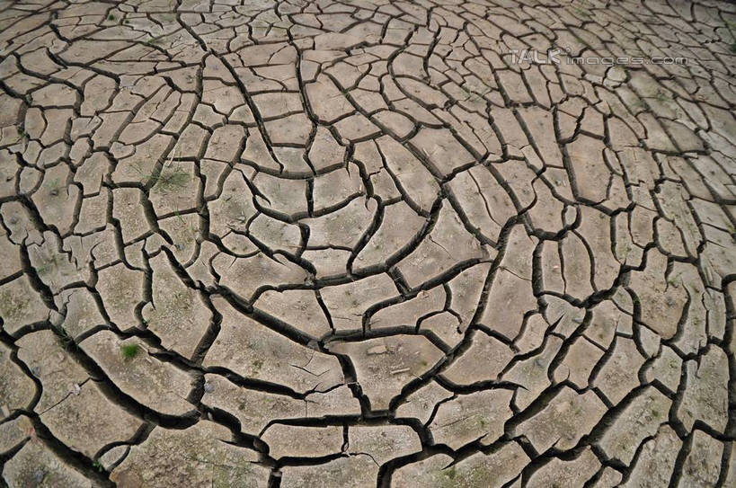 无人,农田,横图,俯视,室外,白天,庄稼,网状,龟裂,排列,裂纹,干涸,沟壑,彩图,高角度拍摄,耕地,庄稼田,yzdzj1