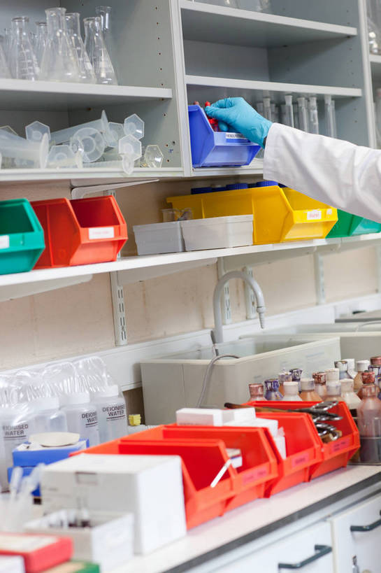 西方人,一个人,科学家,站,竖图,室内,白天,正面,实验,仪器,柜子,杯子,欧洲,欧洲人,仅一个男性,仅一个人,一堆,许多,握,阴影,堆叠,堆积,服装,朦胧,模糊,研究,透明,反射,分析,化学,测试,量筒,烧瓶,影子,锥形瓶,墙,实验室,研究室,很多,架子,墙壁,墙面,玻璃制品,排列,仅一个年轻男性,衣服,黄色,红色,绿色,白色,灰色,玻璃瓶,瓶子,容器,手套,衣橱,站着,橡胶,器皿,握着,服饰,储藏,堆,支撑,固定,衣着,科研人员,白大褂,储存,穿着,队列,研究者,橡胶手套,计量,橡胶制品,试验室,实验服,更衣橱,科学研究者,玻璃仪器,试验耗材,实验用品,医用手套,三角烧瓶,依氏烧瓶,锥形烧瓶,衣饰,储备,蕴藏,贮备,男人,男性,年轻男性,白种人,科学工作者,玻璃杯,站立,半身,彩图,实验衣,容量瓶,贮存