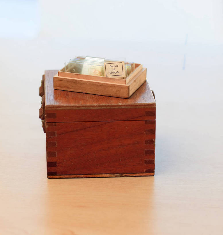 无人,竖图,俯视,室内,特写,白天,生活用品,桌面,桌子,静物,阴影,反射,医学,测量,木制,器材,温度计,影子,刻度,木桌,玻璃制品,木制品,容器,体温计,箱子,针管,针筒,注射,储藏,快速,温度,感冒,医疗,医疗设备,急救箱,注射器,便利,准确,体温,储存,精度,精准,发烧,水银温度计,流感,物理,水银体温计,水银柱,缩口,快捷,玻璃体温计,玻璃温度计,医用温度计,方便,彩图,高角度拍摄,木桌子,贮存