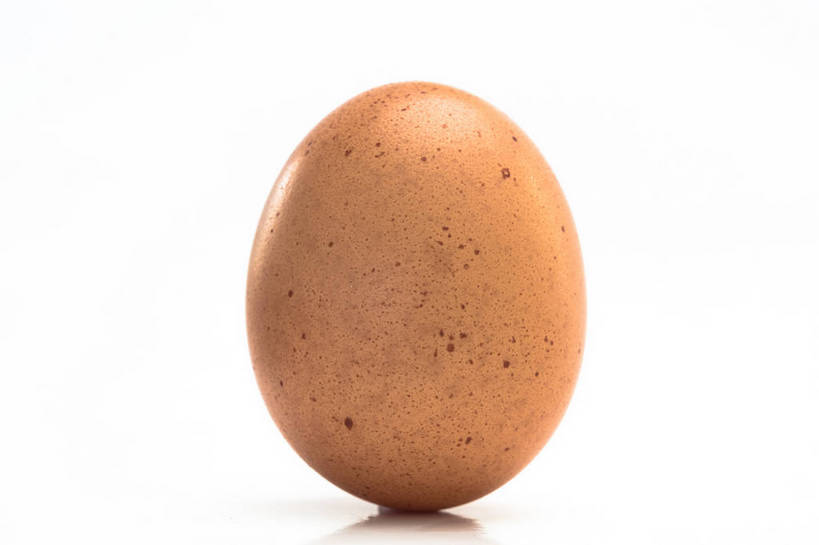 无人,横图,室内,特写,白天,白色背景,正面,阴影,反射,影子,蛋,鸡蛋,一个,摄影,影棚,单个,草鸡蛋,卵,彩图,影棚拍摄,拍摄,本鸡蛋,笨鸡蛋,柴鸡蛋,山鸡蛋,土鸡蛋