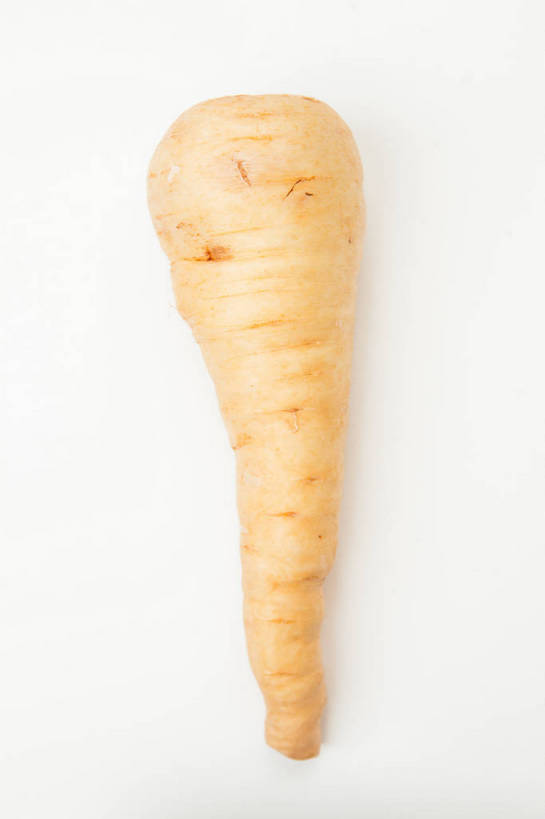 无人,竖图,俯视,室内,特写,白天,白色背景,植物,草药,药草,中药,一个,摄影,影棚,单个,药材,中草药,中药材,本草,防风草,四方茎,土防风,彩图,高角度拍摄,影棚拍摄,拍摄