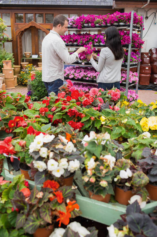 西方人,两个人,商店,站,竖图,室外,白天,植物,欧洲,欧洲人,握,服装,盛开,盆栽,盆景,拿,花蕾,拿着,注视,休闲装,商铺,商贩,顾客,花,花瓣,花朵,鲜花,背面,衣服,绿色,自然,花苞,花蕊,观察,看,站着,休闲,休闲服,握着,服饰,生长,成长,观看,察看,关注,市肆,商号,主顾,男人,男性,年轻女性,女人,女性,中年男性,白种人,商人,站立,彩图,全身,店铺,花园中心,园艺中心