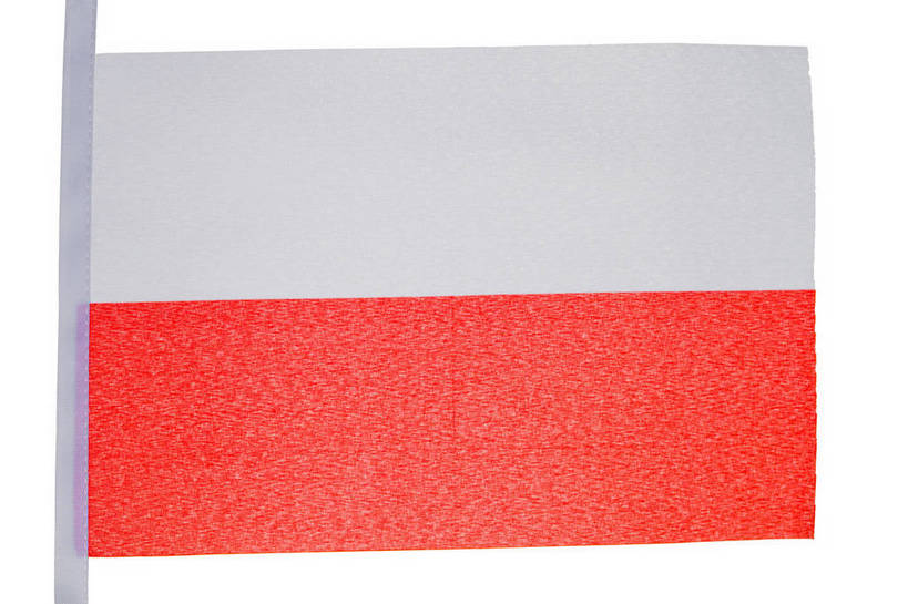 无人,横图,室内,特写,白天,白色背景,正面,静物,旗帜,国旗,一面,阴影,反射,影子,红色,白色,摄影,影棚,旗,彩图,影棚拍摄,拍摄,波兰国旗