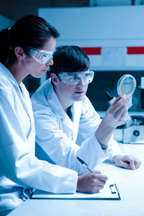 西方人,两个人,同事,科学家,学校,站,竖图,室内,白天,正面,安全,成功,合作,团队,集体,信心,实验,仪器,柜子,桌面,桌子,欧洲,欧洲人,握,阴影,服装,研究,反射,分析,化学,测试,笔,培养皿,眼镜,影子,办公用品,防护,注视,队伍,校园,文具,一个,衣服,白色,手套,学习用品,橱柜,观察,看,站着,教室,器皿,生物,握着,服饰,单个,观看,护目镜,保护,文具用品,一支,察看,领导,课堂,衣着,科研人员,白大褂,成就,穿着,关注,保险,研究者,记录板,合伙,领袖,工作台,记事板,实验服,科学研究者,试验耗材,实验用品,化学器材,保全,周全,安稳,安定,安全防护眼镜,衣饰,平安,男人,男性,年轻男性,年轻女性,女人,女性,白种人,科学工作者,站立,半身,彩图,实验衣,一次性手套,实验台,实验桌,防护眼镜,抽风柜,排气柜,排烟柜,通风橱,通风柜,烟橱