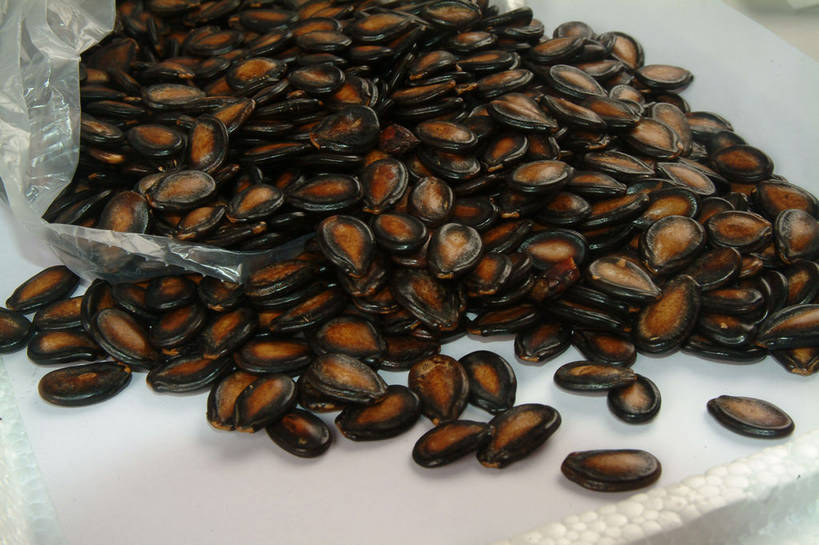 点心,无人,横图,俯视,室内,特写,白天,餐桌,桌子,袋子,一堆,许多,阴影,堆叠,堆积,反射,影子,塑料,食品,坚果,很多,小吃,食物,黑色,塑料制品,西瓜子,零食,餐台,堆,瓜子,塑封,彩图,高角度拍摄,密封袋,塑封袋,shjb1