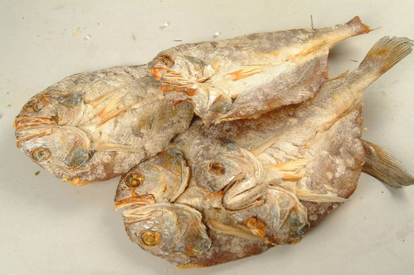 无人,横图,俯视,室内,特写,白天,白色背景,餐桌,桌子,三块,阴影,反射,影子,肉,鱼干,鱼肉,肉类,摄影,影棚,餐台,摄影棚,肉食,彩图,高角度拍摄,影棚拍摄,拍摄,shjb1