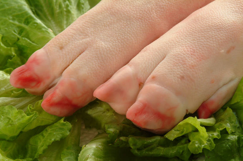 无人,横图,俯视,室内,特写,白天,餐桌,桌子,蔬菜,叶子,阴影,新鲜,反射,影子,生菜,莴苣,肉,食品,绿叶,猪肉,猪手,猪蹄,猪爪,肉类,食物,两个,粉色,绿色,嫩叶,有机食品,绿色食品,餐台,肉食,豚肉,春菜,鹅仔菜,莴仔菜,千金菜,叶用莴苣,猪脚,叶,叶片,彩图,高角度拍摄,shjb1