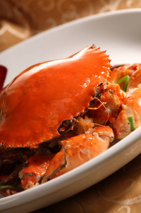 蟹,无人,竖图,俯视,室内,特写,白天,烹饪,中餐,餐桌,桌子,餐具,阴影,反射,螃蟹,碟子,盘,影子,肉,料理,食品,蟹肉,菜肴,美食,肉类,食物,一个,白色,盘子,碟,中式,佳肴,单个,餐台,中华料理,肉食,甲壳动物,彩图,高角度拍摄,shjb1