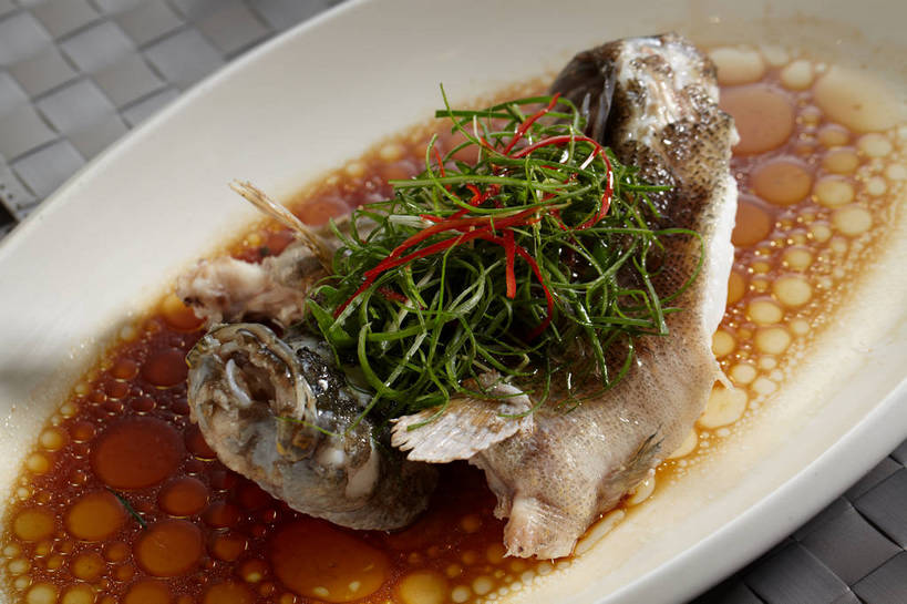 无人,横图,俯视,室内,特写,白天,烹饪,中餐,餐桌,桌子,餐具,布料,碟子,盘,陶瓷,葱,青葱,调料,调味,酱料,酱汁,肉,香料,鱼肉,佐料,料理,食品,陶瓷制品,调味品,鱼头,调味料,布纹,酱,菜肴,美食,肉类,桌布,食物,盘子,餐巾,碟,台布,中式,佳肴,餐台,中华料理,配料,清蒸,肉食,作料,餐桌布,彩图,高角度拍摄,清蒸菜,shjb1,清蒸鱼头