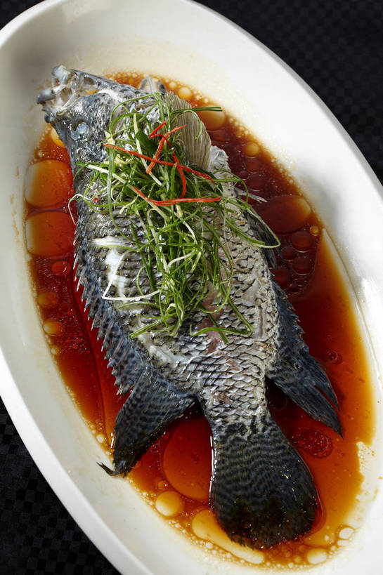 无人,竖图,俯视,室内,特写,白天,烹饪,中餐,餐桌,桌子,姜,一条,陶瓷,葱,青葱,调料,肉,香料,鱼肉,料理,食品,陶瓷制品,调味品,调味料,酱油,菜肴,美食,肉类,食物,一个,白色,容器,碗,中式,佳肴,单个,餐台,中华料理,储藏,储存,止咳,肉食,蒸菜,止痛,解毒,发汗,温肺,温胃,行气,止呕,百辣云,豉油,生姜,老姜,彩图,高角度拍摄,清蒸鱼,贮存,散寒,shjb1