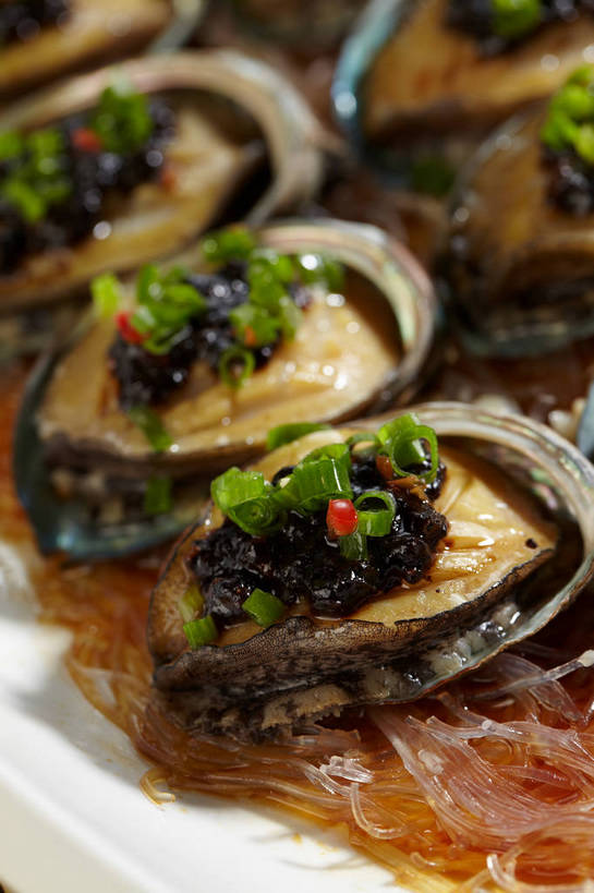 海鲜,面食,面条,无人,竖图,俯视,室内,特写,白天,烹饪,中餐,餐具,一排,许多,朦胧,模糊,整齐,并列,并排,碟子,盘,陶瓷,葱,青葱,调料,面,料理,食品,陶瓷制品,调味品,很多,调味料,粉丝,水产,菜肴,美食,海洋生物,食物,排列,盘子,碟,中式,鲍鱼,佳肴,中华料理,石决明,队列,水生动物,海产品,豆豉,平行,水生物,海底动物,鳆鱼,镜面鱼,明目鱼,冬粉,彩图,高角度拍摄,shjb1,粉丝鲍鱼,粉丝蒸鲍鱼