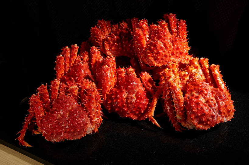 蟹,无人,横图,俯视,室内,特写,白天,烹饪,餐桌,桌子,餐具,许多,螃蟹,碟子,盘,料理,食品,帝王蟹,很多,菜肴,美食,食物,一个,红色,黑色,盘子,碟,佳肴,单个,餐台,皇帝蟹,甲壳动物,石蟹,彩图,高角度拍摄,全身,白石蟹,岩蟹,shjb1