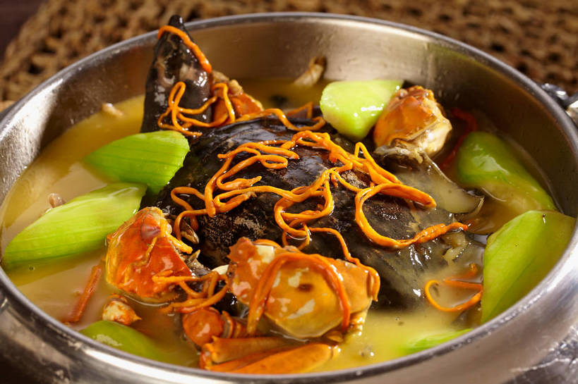 蟹,无人,横图,俯视,室内,特写,白天,烹饪,中餐,植物,餐桌,桌子,龟,蔬菜,切开,新鲜,爬行动物,螃蟹,陶瓷,莴苣,莴笋,浓汤,汤,料理,食品,草药,药草,陶瓷制品,羹,菜肴,美食,中药,食物,一个,动物,容器,碗,切,健康,中式,佳肴,有机食品,绿色食品,单个,餐台,中华料理,储藏,储存,坚定,药材,中草药,剖面,切面,中药材,本草,香笋,长寿,千金菜,乌龟,甲壳动物,虫草,彩图,高角度拍摄,贮存,虫草菌,虫草花,shjb1,虫草老龟汤