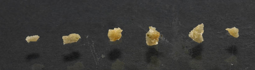 点心,无人,横图,俯视,室内,特写,白天,餐桌,桌子,一排,许多,朦胧,模糊,整齐,食品,很多,破坏,薯片,破损,食物,排列,黄色,零食,餐台,损坏,队列,垃圾食品,彩图,高角度拍摄,shjb1,喀吱脆