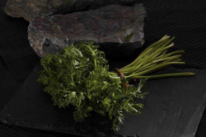 无人,横图,俯视,室内,特写,白天,石头,餐桌,桌子,蔬菜,叶子,一堆,许多,堆叠,堆积,新鲜,石子,食品,绿叶,蓬蒿,很多,食物,绿色,绳子,嫩叶,有机食品,绿色食品,餐台,堆,捆绑,绳索,茼蒿,春菊,茼蒿菜,绑缚,叶,叶片,石块,岩石,彩图,高角度拍摄,shjb1