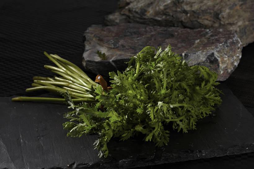 无人,横图,俯视,室内,特写,白天,石头,餐桌,桌子,蔬菜,叶子,一堆,许多,堆叠,堆积,新鲜,石子,食品,绿叶,蓬蒿,很多,食物,绿色,绳子,嫩叶,有机食品,绿色食品,餐台,堆,捆绑,绳索,茼蒿,春菊,茼蒿菜,绑缚,叶,叶片,石块,岩石,彩图,高角度拍摄,shjb1