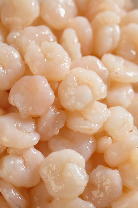 海鲜,无人,竖图,俯视,室内,特写,白天,烹饪,中餐,一堆,许多,堆叠,堆积,肉,虾,虾仁,料理,食品,很多,水产,菜肴,美食,肉类,海洋生物,食物,中式,佳肴,对虾,中华料理,堆,虾肉,水生动物,海产品,水生物,肉食,海底动物,本帮菜,沪菜,上海菜,彩图,高角度拍摄,全画面,全框架,全帧,全画幅,清炒虾仁,shjb1