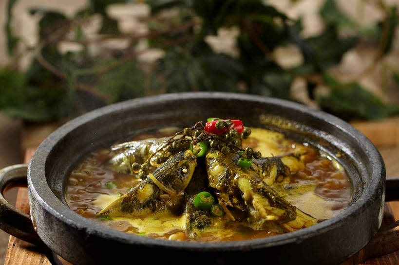 无人,横图,俯视,室内,特写,白天,烹饪,中餐,餐桌,桌子,辣椒,蔬菜,厨具,叶子,朦胧,模糊,新鲜,锅子,石锅,青椒,调味,肉,香料,鱼肉,佐料,料理,食品,绿叶,锅,菜肴,美食,肉类,食物,一个,红色,绿色,中式,嫩叶,佳肴,有机食品,绿色食品,单个,餐台,锅具,中华料理,花椒,山椒,配料,肉食,烹饪用具,辣角,红海椒,大椒,辣虎,广椒,作料,湖南菜,湘菜,大花椒,狗椒,红花椒,青花椒,蜀椒,香椒,叶,叶片,烹调用具,辣子,红辣椒,红椒,海椒,番椒,烹调,彩图,高角度拍摄,麻椒,shjb1,金福鱼,石锅鱼