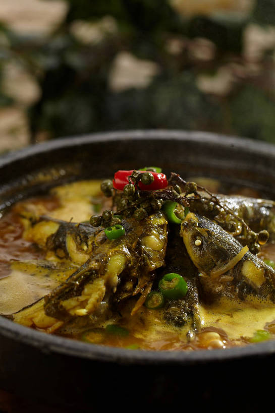 无人,竖图,俯视,室内,特写,白天,烹饪,中餐,餐桌,桌子,辣椒,蔬菜,厨具,叶子,朦胧,模糊,新鲜,锅子,石锅,青椒,调味,肉,香料,鱼肉,佐料,料理,食品,绿叶,锅,菜肴,美食,肉类,食物,一个,红色,绿色,中式,嫩叶,佳肴,有机食品,绿色食品,单个,餐台,锅具,中华料理,花椒,山椒,配料,肉食,烹饪用具,辣角,红海椒,大椒,辣虎,广椒,作料,湖南菜,湘菜,大花椒,狗椒,红花椒,青花椒,蜀椒,香椒,叶,叶片,烹调用具,辣子,红辣椒,红椒,海椒,番椒,烹调,彩图,高角度拍摄,麻椒,shjb1,金福鱼,石锅鱼