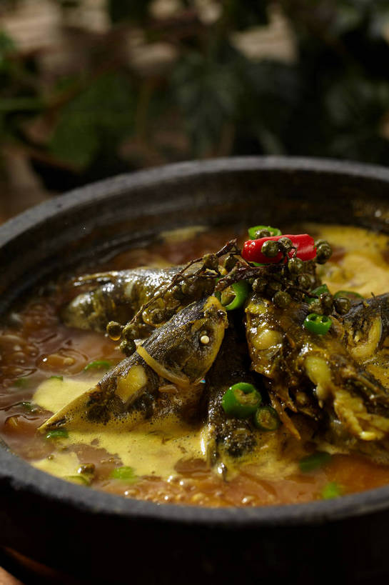 无人,竖图,俯视,室内,特写,白天,烹饪,中餐,餐桌,桌子,辣椒,蔬菜,厨具,叶子,朦胧,模糊,新鲜,锅子,石锅,青椒,调味,肉,香料,鱼肉,佐料,料理,食品,绿叶,锅,菜肴,美食,肉类,食物,一个,红色,绿色,中式,嫩叶,佳肴,有机食品,绿色食品,单个,餐台,锅具,中华料理,花椒,山椒,配料,肉食,烹饪用具,辣角,红海椒,大椒,辣虎,广椒,作料,湖南菜,湘菜,大花椒,狗椒,红花椒,青花椒,蜀椒,香椒,叶,叶片,烹调用具,辣子,红辣椒,红椒,海椒,番椒,烹调,彩图,高角度拍摄,麻椒,shjb1,金福鱼,石锅鱼