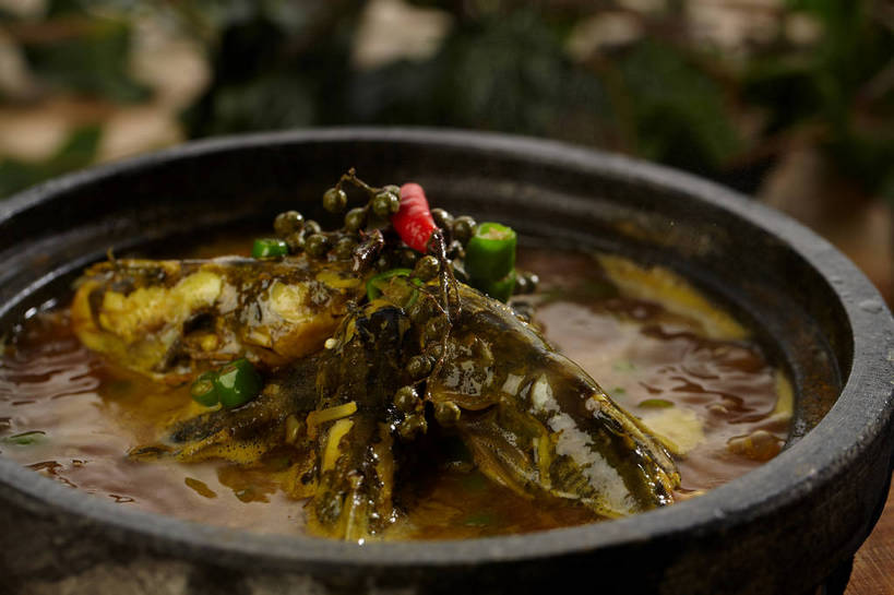 无人,横图,俯视,室内,特写,白天,烹饪,中餐,辣椒,蔬菜,厨具,朦胧,模糊,新鲜,锅子,石锅,青椒,调味,肉,香料,鱼肉,佐料,料理,食品,锅,菜肴,美食,肉类,食物,一个,红色,绿色,中式,佳肴,有机食品,绿色食品,单个,锅具,中华料理,花椒,山椒,配料,肉食,烹饪用具,辣角,红海椒,大椒,辣虎,广椒,作料,湖南菜,湘菜,大花椒,狗椒,红花椒,青花椒,蜀椒,香椒,烹调用具,辣子,红辣椒,红椒,海椒,番椒,烹调,彩图,高角度拍摄,麻椒,shjb1,金福鱼,石锅鱼