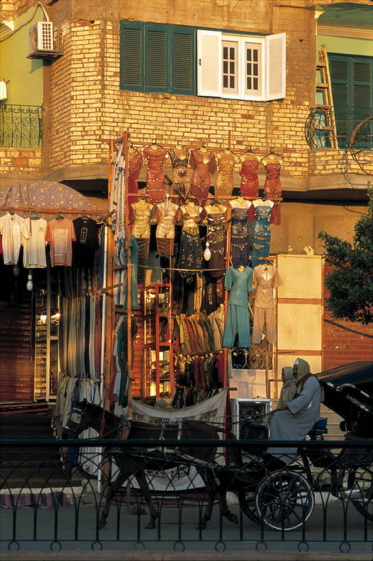 西方人,竖图,彩色,室外,白天,旅游,度假,名胜古迹,标志建筑,地标,建筑,欧洲,非洲,埃及,黑人,欧洲人,风俗,遗迹,文化遗产,马车,集市,市场,古迹,文化,文物,娱乐,建设,古建筑,享受,休闲,旅游胜地,放松,竖,摄影,生活方式,矗立,耸立,古文明,北非,挺立,阿非利加洲,古埃及文明,埃德富,非洲人,彩图,旅行,bj174