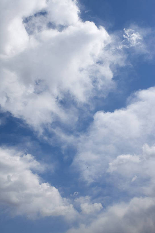 竖图,彩色,室外,白天,静物,云,蓝色,白色,白云,天空,自然,竖,摄影,蓝,简单,纯朴,彩图,bj174