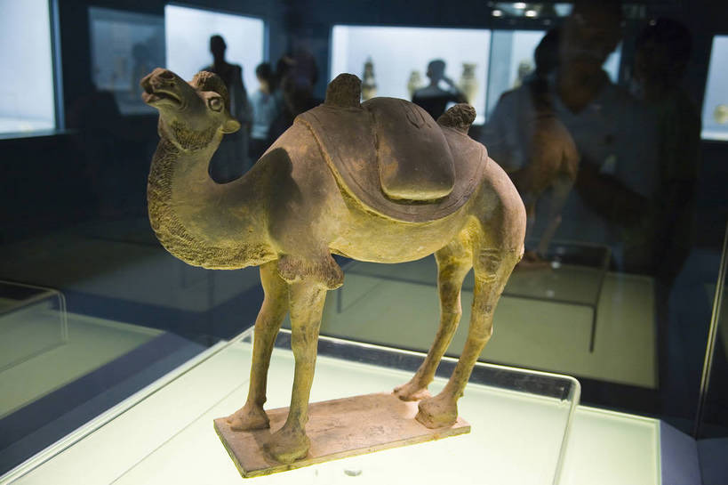 横图,彩色,室内,上海,中国,亚洲,陶瓷,文化遗产,陶瓷制品,古典,历史,文化,文物,骆驼,古代,工艺品,陶器,摄影,上海博物馆,古董,古物,中国文化,古玩,东亚,中华人民共和国,古远,古代文明,传统文化,bj174