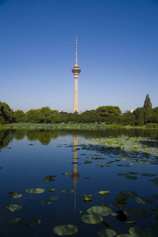 竖图,彩色,室外,白天,旅游,湖,美景,建筑,北京,中国,亚洲,塔,树,倒影,自然,摄影,美好,莲,东亚,中央广播电视塔,中华人民共和国,彩图,旅行,目的地,玉渊潭公园,bj174