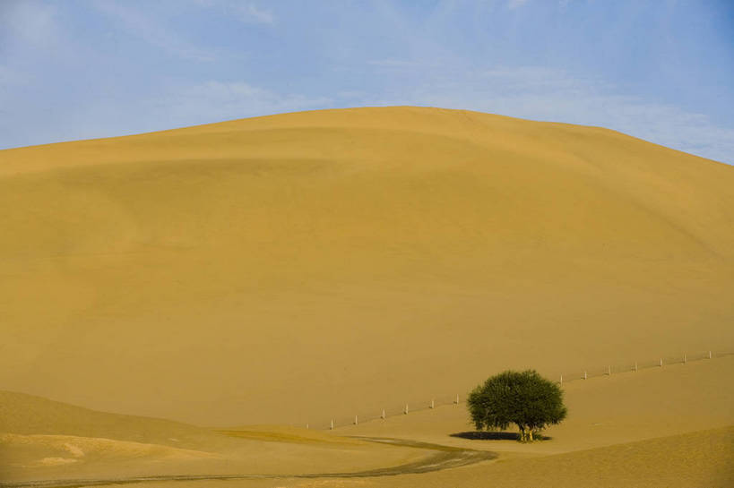 横图,彩色,美景,沙漠,山,敦煌,中国,亚洲,黄沙,沙子,线条,景观,辽阔,沙丘,树木,黄色,自然,广阔,金色,石壁,景色,摄影,地理,环境,山区,中国文化,自然风光,东亚,甘肃,甘肃省,中华人民共和国,西北地区,甘,酒泉,酒泉市,平滑,苍凉,敦煌鸣沙山,大漠,彩图,鸣沙山,bj174