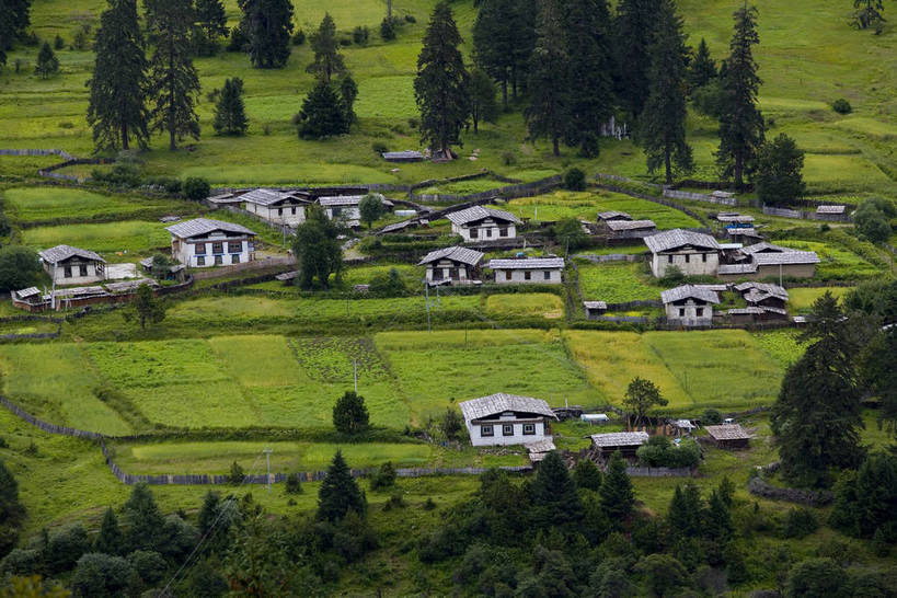 农田,横图,室外,白天,草地,草坪,名胜古迹,植物,建筑,中国,亚洲,收成,丰富,丰收,丰盛,文化,拉萨,林芝,西藏,少数民族,民族,草,花,树,绿色,天空,自然,旅游胜地,摄影,收获,自然风光,藏,东亚,西藏自治区,藏传佛教,中华人民共和国,西南地区,丰登,丰硕,富饶,富裕,农舍,劳绩,彩图,房子,林芝地区,中国少数民族,充裕,林芝县,鲁朗林海,鲁朗镇,草甸,西藏江南,bj174