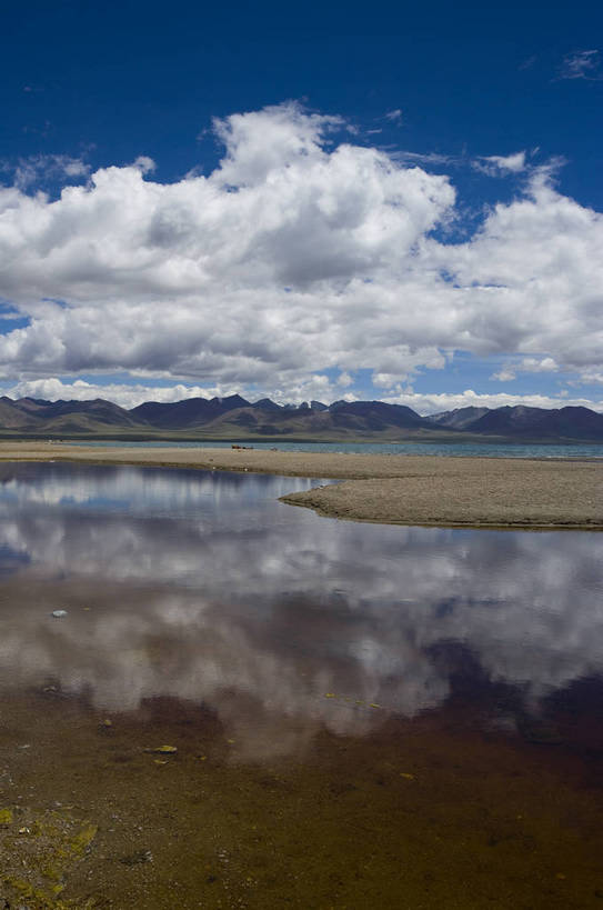 竖图,室外,白天,湖,名胜古迹,沙滩,山,中国,亚洲,清澈,云,漂亮,干净,西藏,蓝色,倒影,天空,自然,天,旅游胜地,摄影,自然风光,藏,东亚,西藏自治区,藏传佛教,纳木错,圣湖,中华人民共和国,西南地区,砂石,明澈,清彻,清亮,咸水湖,圣洁,牦牛,彩图,灵湖,神湖,腾格里海,天湖,bj174