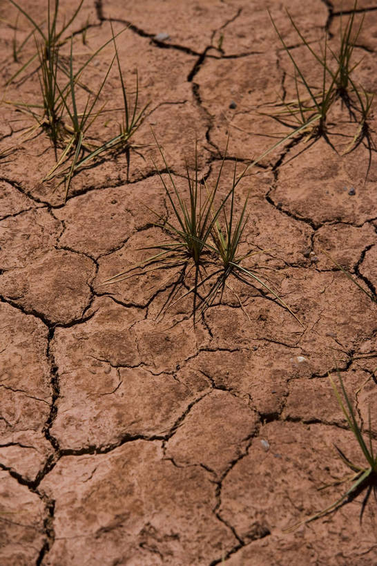 竖图,室外,白天,雪,雪山,道路,中国,亚洲,龟裂,土地,山峦,西藏,草,自然,旅游胜地,摄影,宗教,干涸,自然风光,东亚,中华人民共和国,彩图,bj174