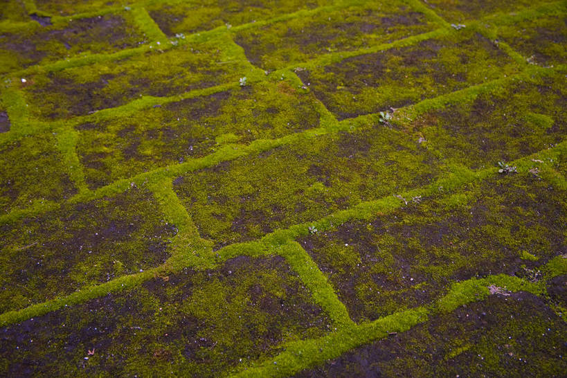 横图,神秘,石头,建筑,雕塑,孔庙,中国,亚洲,地砖,牌匾,房屋,墙,苔藓,历史,山东,石雕,古代,绿色,石碑,旅游胜地,摄影,东亚,曲阜,孔子,中华人民共和国,古远,彩图,庙,bj174