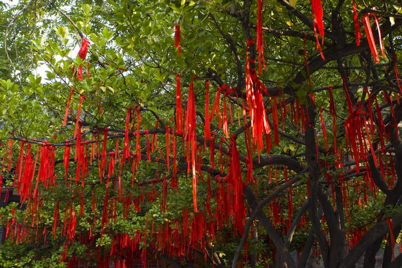 公园,横图,室外,白天,建筑,中国,亚洲,花纹,布,图案,竹林,布纹,历史,山东,树,树木,古代,红色,旅游胜地,许愿,摄影,布匹,东亚,济南,中华人民共和国,古远,竹,彩图,大明湖,bj174