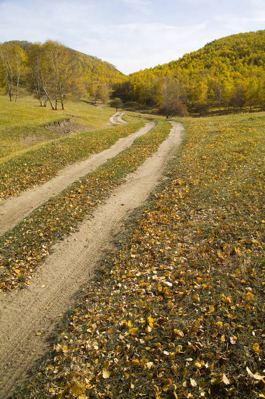 竖图,室外,白天,草地,草原,草坪,秋季,植物,道路,叶子,坝上,中国,亚洲,清澈,高原,干草,枯叶,落叶,草,树,树木,黄色,绿色,天空,天,橙色,金色,旅游胜地,摄影,东亚,内蒙古,中华人民共和国,明澈,清彻,清亮,叶,叶片,秋,秋天,彩图,灌木丛,草甸,bj174
