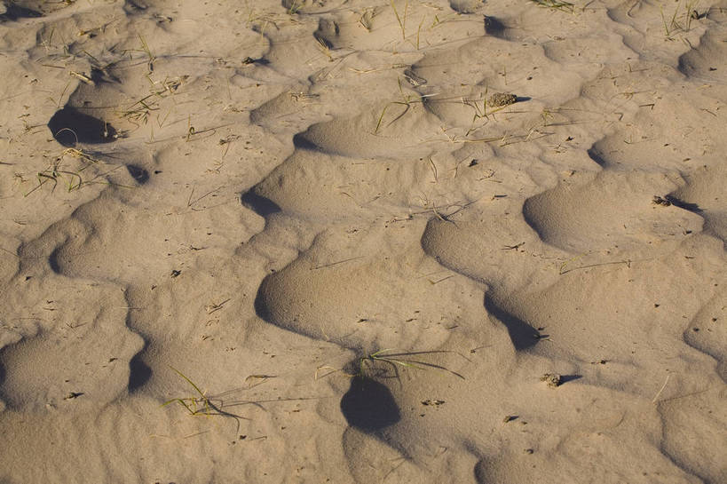 横图,室外,白天,沙漠,坝上,中国,亚洲,沙子,纹理,高原,沙丘,旅游胜地,摄影,东亚,内蒙古,中华人民共和国,砂石,彩图,bj174