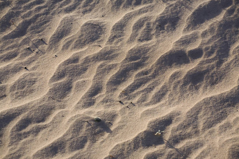 横图,室外,白天,沙漠,坝上,中国,亚洲,沙子,纹理,高原,沙丘,旅游胜地,摄影,东亚,内蒙古,中华人民共和国,砂石,彩图,bj174