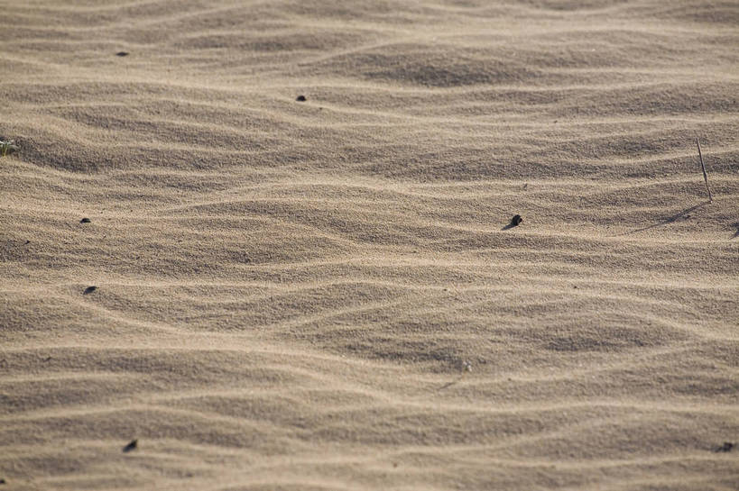 横图,室外,白天,沙漠,坝上,中国,亚洲,沙子,纹理,高原,沙丘,旅游胜地,摄影,东亚,内蒙古,中华人民共和国,砂石,彩图,bj174