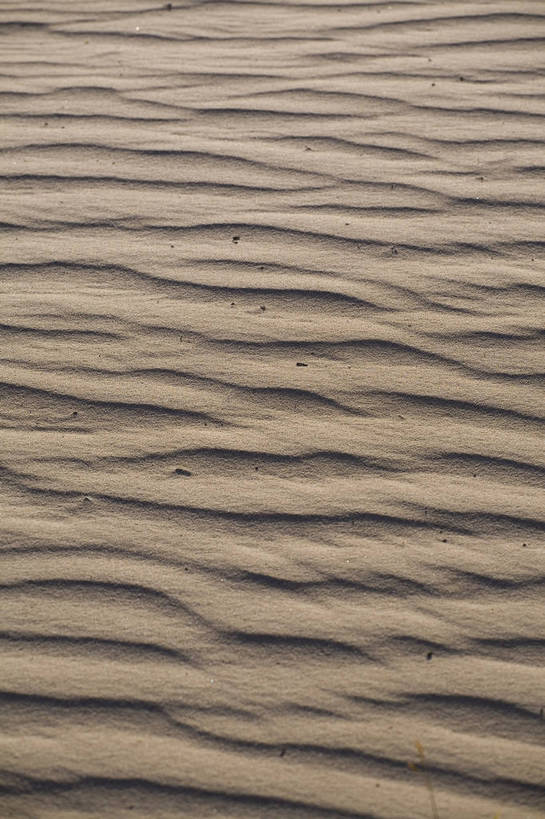 竖图,室外,白天,沙漠,坝上,中国,亚洲,纹理,高原,沙丘,旅游胜地,摄影,东亚,内蒙古,中华人民共和国,砂石,彩图,bj174