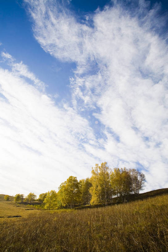 竖图,室外,白天,草地,秋季,沙漠,叶子,坝上,中国,亚洲,高原,枯叶,落叶,树木,白云,蓝天,旅游胜地,摄影,东亚,内蒙古,中华人民共和国,砂石,叶,叶片,秋,秋天,彩图,bj174