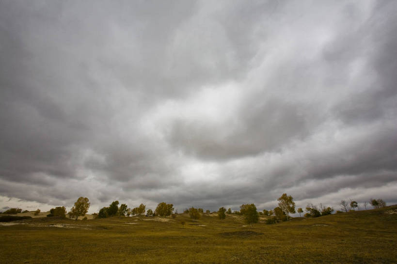横图,室外,白天,草地,秋季,沙漠,叶子,坝上,中国,亚洲,高原,乌云,云,云朵,枯叶,落叶,云彩,树木,天空,旅游胜地,摄影,冷色调,东亚,内蒙古,中华人民共和国,砂石,叶,叶片,秋,秋天,彩图,bj174