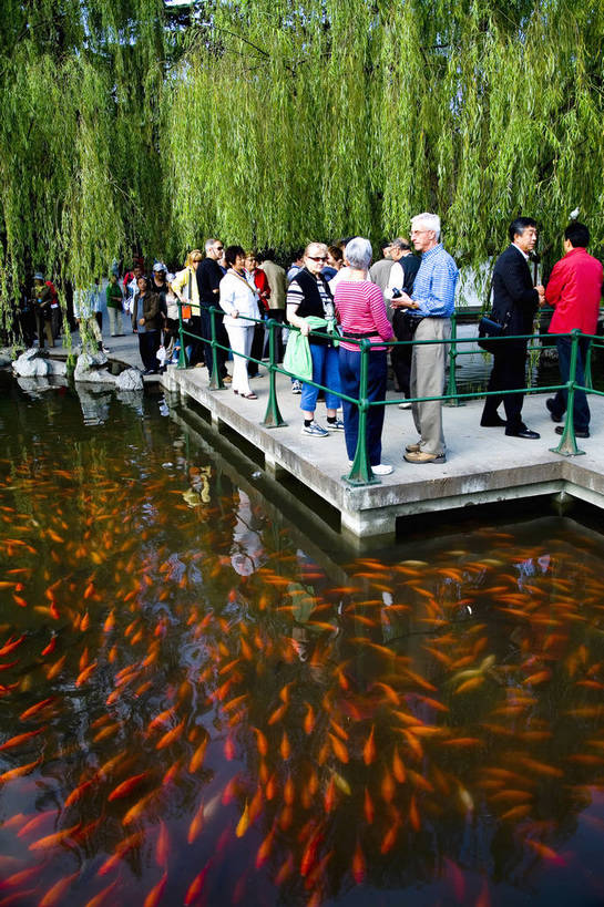 竖图,彩色,室外,白天,旅游,度假,美景,名胜古迹,标志建筑,地标,建筑,杭州西湖,西湖,中国,亚洲,遗迹,图片,房屋,楼阁,亭子,屋子,景观,文化遗产,美丽,古迹,文物,娱乐,建设,古建筑,楼房,浙江省,自然,凉亭,湖水,享受,休闲,旅游胜地,景色,放松,竖,摄影,古代建筑,杭州,美好,文明,中国文化,自然风光,古文明,东亚,中华人民共和国,亭台楼阁,彩图,旅行,房子,架空,bj174