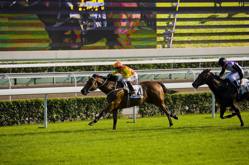 横图,彩色,室外,白天,旅游,度假,比赛,美景,城市风光,城市,香港,中国,亚洲,行人,游客,游人,图片,景观,娱乐,路人,旅客,享受,休闲,旅游胜地,景色,放松,摄影,港,参观,东亚,新界,香港特别行政区,港澳台,中华人民共和国,繁荣,发达,过客,沙田区,沙田,赛马,旅游者,彩图,旅行,跑马地,香港奥运马术比赛场地,沙田马场,沙田赛马场,bj174