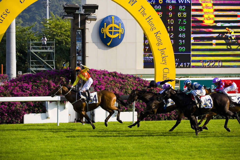 横图,彩色,室外,白天,旅游,度假,比赛,美景,城市风光,城市,香港,中国,亚洲,行人,游客,游人,图片,景观,娱乐,路人,旅客,享受,休闲,旅游胜地,景色,放松,摄影,港,参观,东亚,新界,香港特别行政区,港澳台,中华人民共和国,繁荣,发达,过客,沙田区,沙田,赛马,旅游者,彩图,旅行,跑马地,香港奥运马术比赛场地,沙田马场,沙田赛马场,bj174