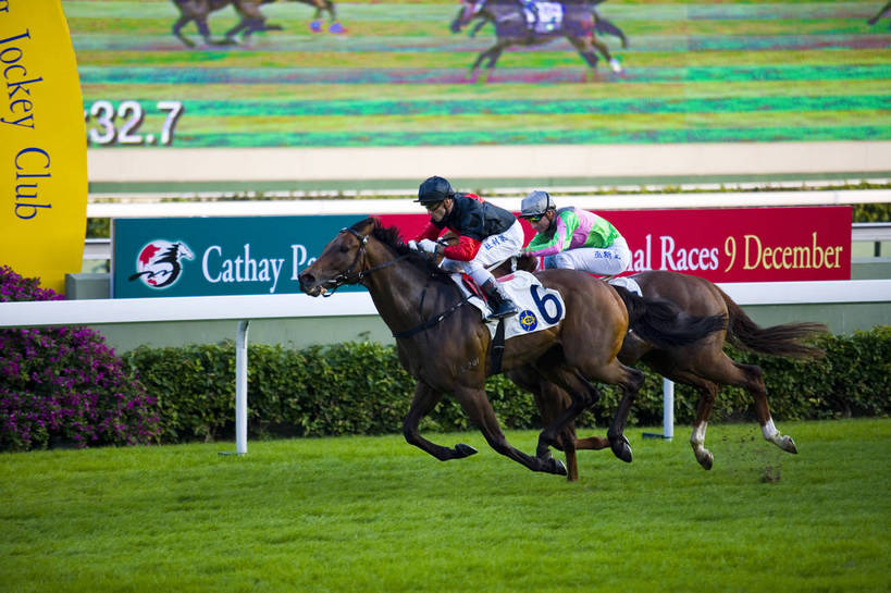 横图,彩色,室外,白天,旅游,度假,比赛,美景,城市风光,城市,香港,中国,亚洲,行人,游客,游人,图片,景观,娱乐,路人,旅客,享受,休闲,旅游胜地,景色,放松,摄影,港,参观,东亚,新界,香港特别行政区,港澳台,中华人民共和国,繁荣,发达,过客,沙田区,沙田,赛马,旅游者,彩图,旅行,跑马地,香港奥运马术比赛场地,沙田马场,沙田赛马场,bj174